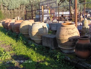Rustic Italian Orchard Pots